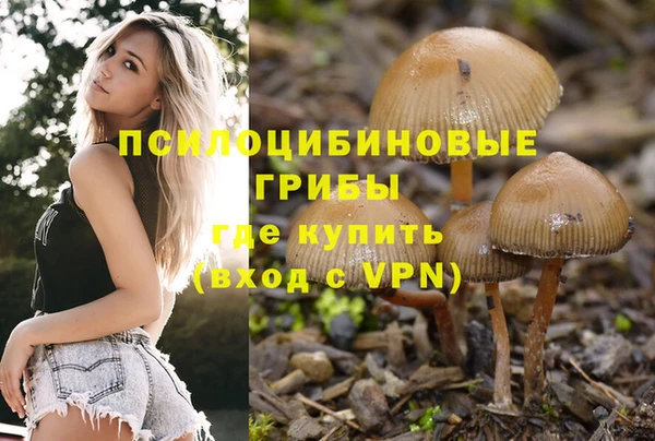 спиды Балабаново