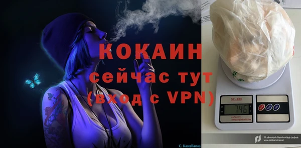 крисы Сосновоборск