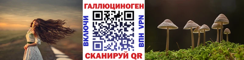 Галлюциногенные грибы Psilocybine cubensis  blacksprut как войти  Строитель  купить наркоту 